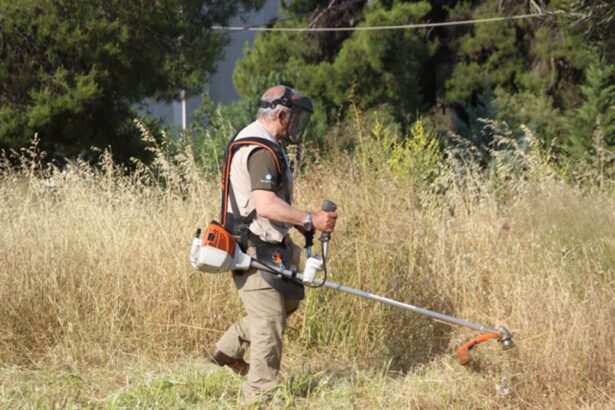 Δραματική έκκληση της ΑΝΙΜΑ για τις χορτοκοπές: "Δείξτε ευαισθησία" 53