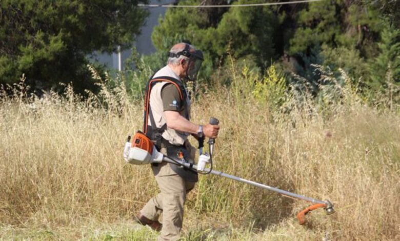 Δραματική έκκληση της ΑΝΙΜΑ για τις χορτοκοπές: "Δείξτε ευαισθησία" 2 Δραματική έκκληση της ΑΝΙΜΑ για τις χορτοκοπές: "Δείξτε ευαισθησία" 1