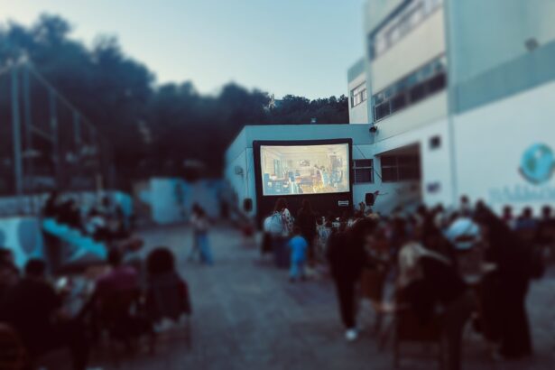 Το 2ο Δημοτικό κήρυξε την έναρξη του θερινού κινηματογράφου! 15
