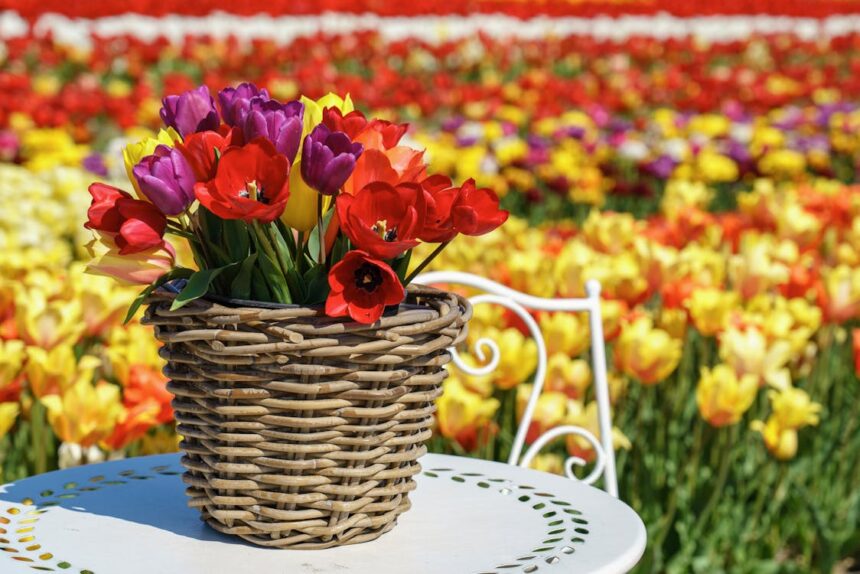 Ανοίγει τις πύλες της η Ανθοκομική Έκθεση Αιγάλεω - Μουσικές βραδιές και εκδηλώσεις για μικρούς και μεγάλους 1