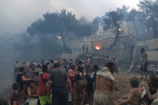 Τραγωδία στο Μάτι: Εντολή Χαρδαλιά να αποσυρθούν οι εφέσεις για τις αποζημιώσεις 51