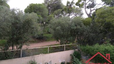 Ίλιον: Ενοικιάζεται διαμέρισμα, θέα στο Πάρκο Τρίτση 77