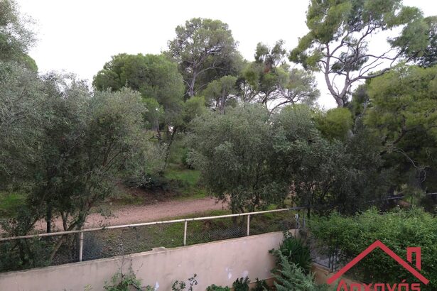 Ίλιον: Ενοικιάζεται διαμέρισμα, θέα στο Πάρκο Τρίτση 39