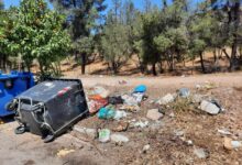 Δαφνί: Τα αγριογούρουνα εξέλιξαν την τεχνογνωσία τους στους κάδους - "Άρχισαν οι παρενέργειες..." 27