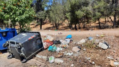 Δαφνί: Τα αγριογούρουνα εξέλιξαν την τεχνογνωσία τους στους κάδους - "Άρχισαν οι παρενέργειες..." 3