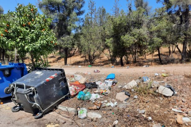 Δαφνί: Τα αγριογούρουνα εξέλιξαν την τεχνογνωσία τους στους κάδους - "Άρχισαν οι παρενέργειες..." 11