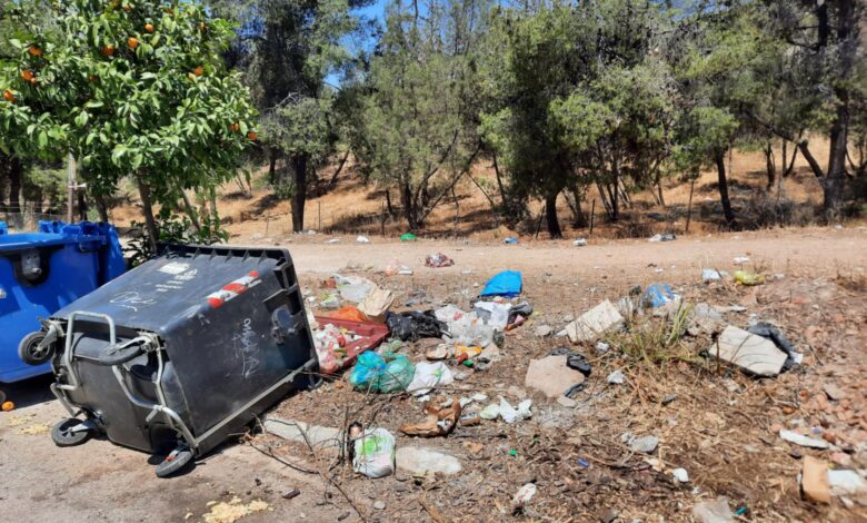 Δαφνί: Τα αγριογούρουνα εξέλιξαν την τεχνογνωσία τους στους κάδους - "Άρχισαν οι παρενέργειες..." 2 Δαφνί: Τα αγριογούρουνα εξέλιξαν την τεχνογνωσία τους στους κάδους - "Άρχισαν οι παρενέργειες..." 1