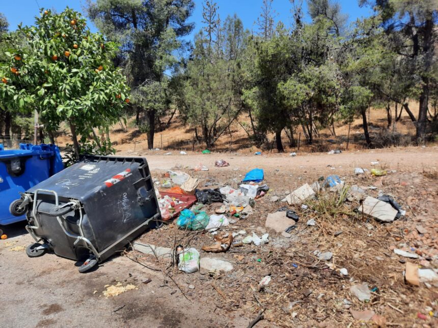 Δαφνί: Τα αγριογούρουνα εξέλιξαν την τεχνογνωσία τους στους κάδους - "Άρχισαν οι παρενέργειες..." 1