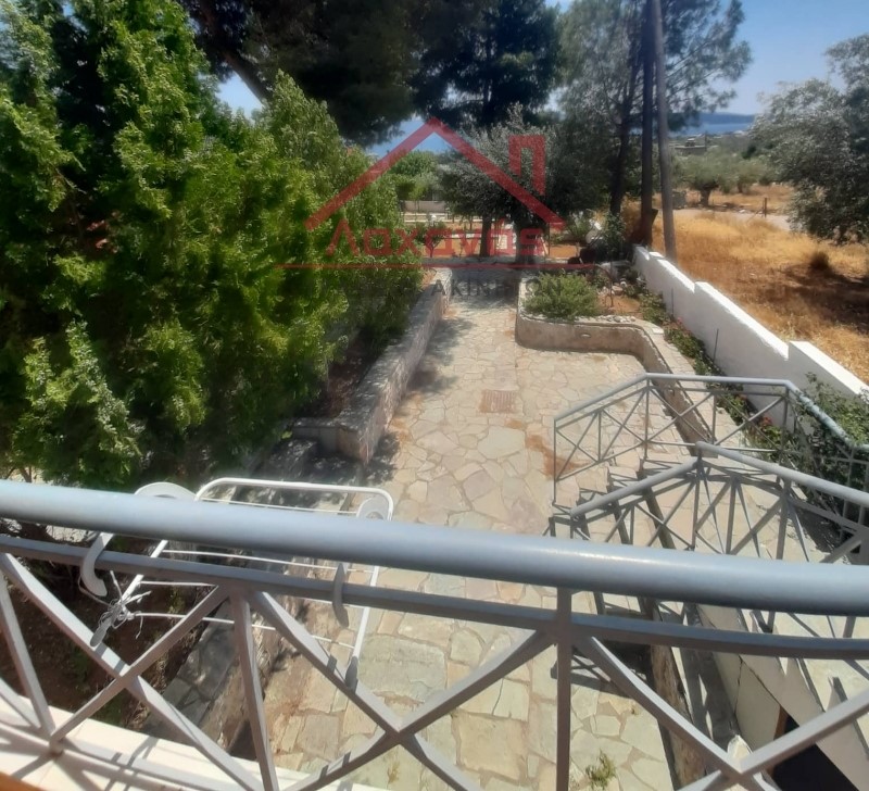 Ενοικιάζεται μεζονέτα στο Μεγάλο Πεύκο, κοντά στη θάλασσα 12 Ενοικιάζεται μεζονέτα στο Μεγάλο Πεύκο, κοντά στη θάλασσα 11