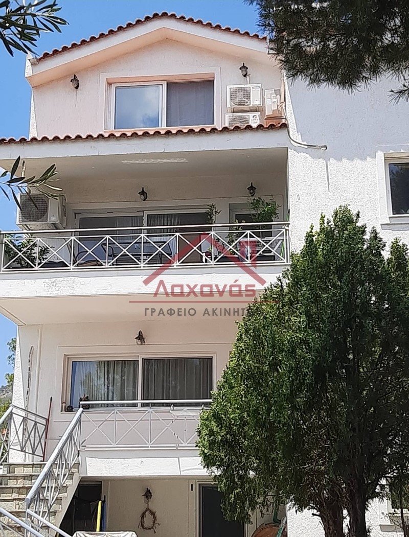 Ενοικιάζεται μεζονέτα στο Μεγάλο Πεύκο, κοντά στη θάλασσα 4 Ενοικιάζεται μεζονέτα στο Μεγάλο Πεύκο, κοντά στη θάλασσα 3