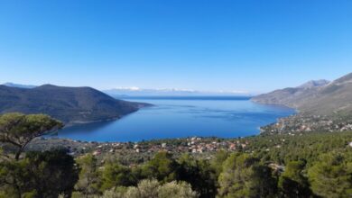 Πόρτο Γερμενό: Κοσμοπλημύρρα του Αγίου Πνεύματος - Χάος όταν ξέσπασε φωτιά στον Κιθαιρώνα 5
