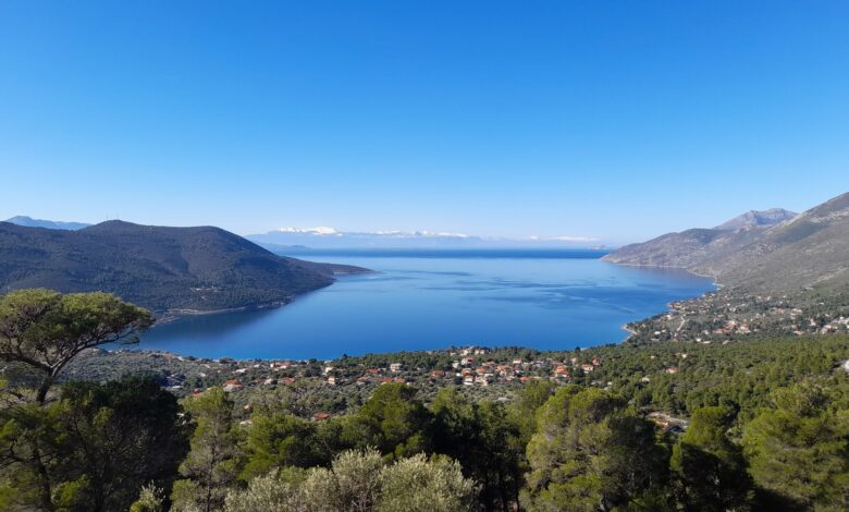 Πόρτο Γερμενό: Κοσμοπλημύρρα του Αγίου Πνεύματος - Χάος όταν ξέσπασε φωτιά στον Κιθαιρώνα 2 Πόρτο Γερμενό: Κοσμοπλημύρρα του Αγίου Πνεύματος - Χάος όταν ξέσπασε φωτιά στον Κιθαιρώνα 1