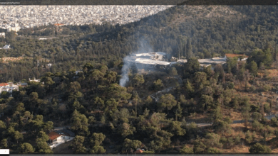 Μικρή φωτιά σήμερα στον Προφήτη Ηλία 29