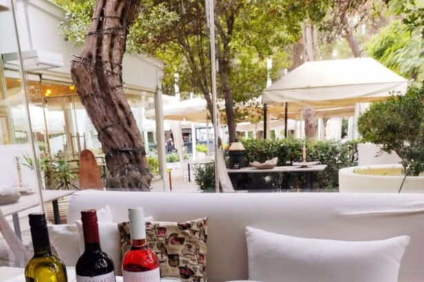 Δροσερός Κήπος όνειρο και Ποικιλία Σχάρας ή Κότσι δύο ατόμων με μια φιάλη εκλεκτό κρασί! Πού θα το απολαύσεις. Λεπτομέρειες-τιμή 7