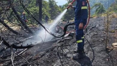 Συναγερμός για επικίνδυνη πυρκαγιά στον Κιθαιρώνα - Μηνύσεις και αγωγή από τον Δήμο 7