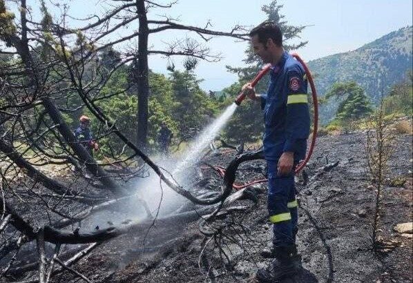 Συναγερμός για επικίνδυνη πυρκαγιά στον Κιθαιρώνα - Μηνύσεις και αγωγή από τον Δήμο 7