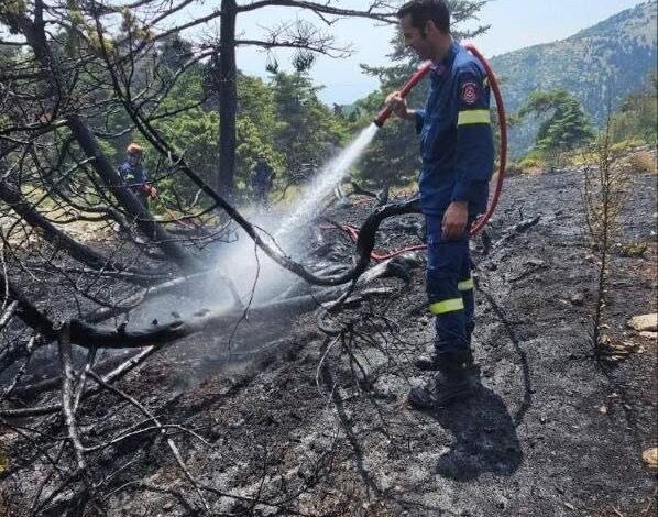 Συναγερμός για επικίνδυνη πυρκαγιά στον Κιθαιρώνα - Μηνύσεις και αγωγή από τον Δήμο 2 Συναγερμός για επικίνδυνη πυρκαγιά στον Κιθαιρώνα - Μηνύσεις και αγωγή από τον Δήμο 1