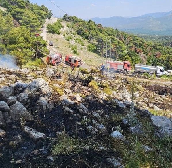 Συναγερμός για επικίνδυνη πυρκαγιά στον Κιθαιρώνα - Μηνύσεις και αγωγή από τον Δήμο 6 Συναγερμός για επικίνδυνη πυρκαγιά στον Κιθαιρώνα - Μηνύσεις και αγωγή από τον Δήμο 5