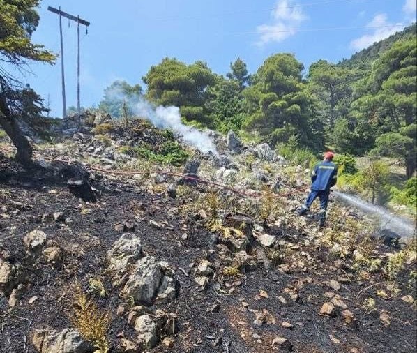 Συναγερμός για επικίνδυνη πυρκαγιά στον Κιθαιρώνα - Μηνύσεις και αγωγή από τον Δήμο 8 Συναγερμός για επικίνδυνη πυρκαγιά στον Κιθαιρώνα - Μηνύσεις και αγωγή από τον Δήμο 7