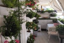 Δείτε αυλές και μπαλκόνια που βραβεύτηκαν στον διαγωνισμό κήπων του Δήμου Περιστερίου 27