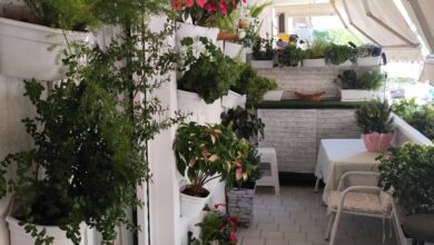 Δείτε αυλές και μπαλκόνια που βραβεύτηκαν στον διαγωνισμό κήπων του Δήμου Περιστερίου 1