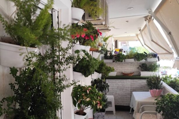 Δείτε αυλές και μπαλκόνια που βραβεύτηκαν στον διαγωνισμό κήπων του Δήμου Περιστερίου 21