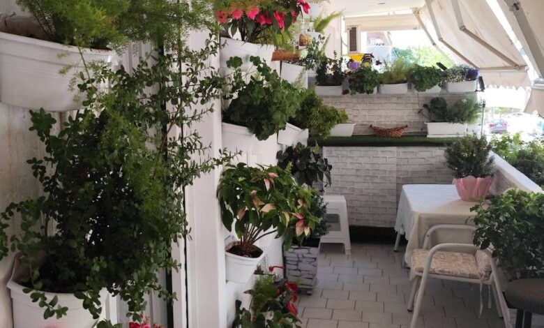 Δείτε αυλές και μπαλκόνια που βραβεύτηκαν στον διαγωνισμό κήπων του Δήμου Περιστερίου 2 Δείτε αυλές και μπαλκόνια που βραβεύτηκαν στον διαγωνισμό κήπων του Δήμου Περιστερίου 1