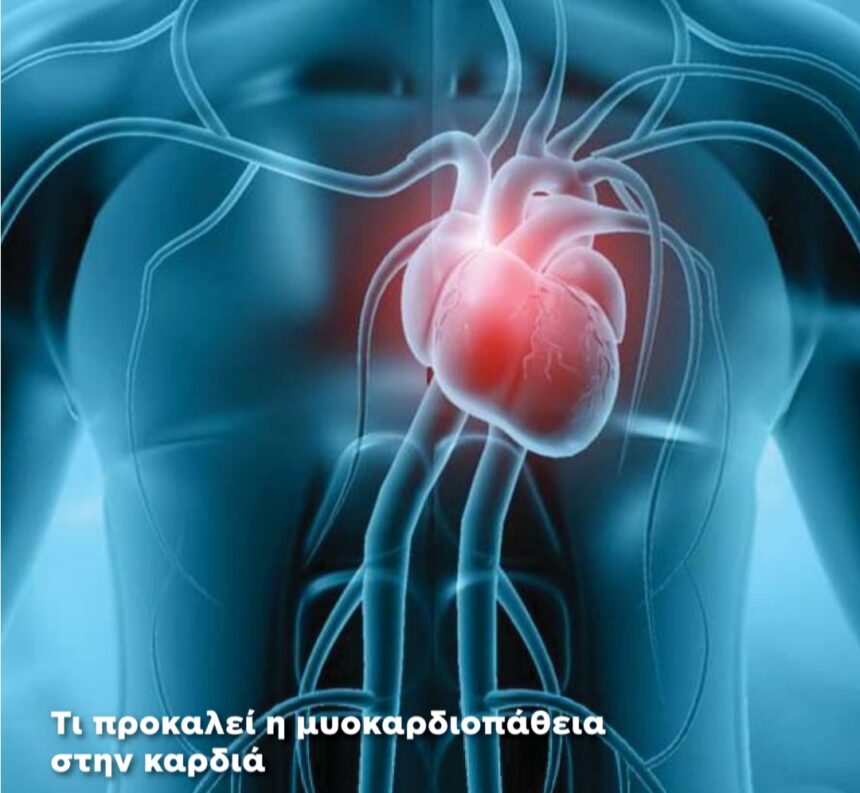 Δράση Ζωής στο Αττικό: Πρόληψη Αιφνίδιου Καρδιακού Θανάτου σε Νέους και Αθλητές -Ανοιχτή Ενημέρωση 1