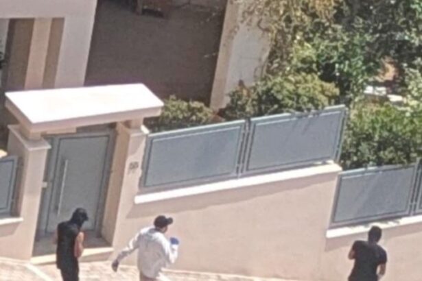 Επιστολή κατοίκων του Δάσους Χαϊδαρίου στη ΓΑΔΑ: "Οργανωμένα κυκλώματα δρουν μεθοδικά" 11