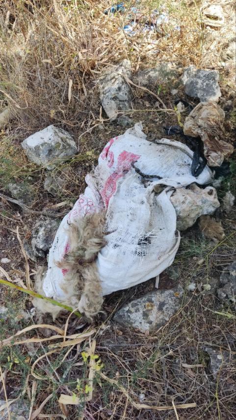 Τα drone που πετούν 24ωρο στα βουνά της Αθήνας δεν βλέπουν μόνο φωτιές - Δείτε τι "έπιασε" ένα από αυτά 3 Τα drone που πετούν 24ωρο στα βουνά της Αθήνας δεν βλέπουν μόνο φωτιές - Δείτε τι "έπιασε" ένα από αυτά
