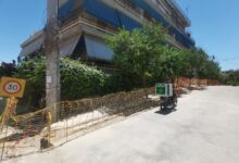 "Περνάμε μαρτυρικό καλοκαίρι" 250