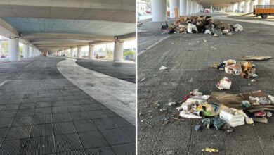 Επιχείρηση καθαρισμού σε γέφυρες του Κηφισού 5