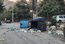 Πεδίο μάχης από τα "θεριά" στο Δαφνί - Τι πρέπει να γίνει 43