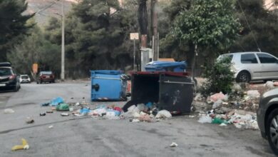 Πεδίο μάχης από τα "θεριά" στο Δαφνί - Τι πρέπει να γίνει 5