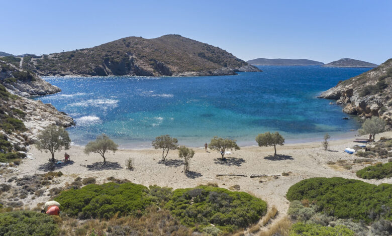 Φυτέψτε αρμυρίκια, όχι ομπρέλες 2 Φυτέψτε αρμυρίκια, όχι ομπρέλες 1