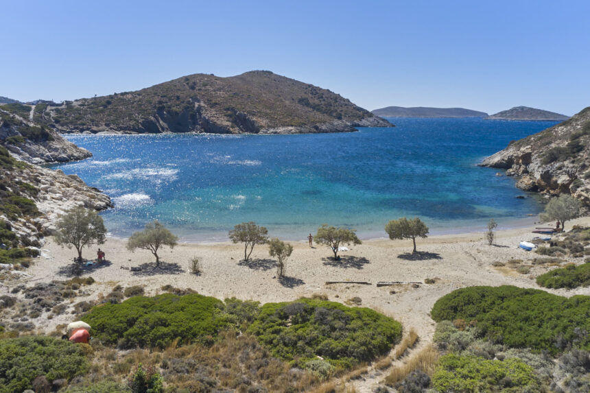 Φυτέψτε αρμυρίκια, όχι ομπρέλες 1