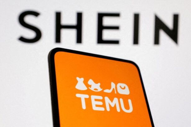 Αποκαλύψεις "φωτιά" για Shein και Temu: Αυτά τα προϊόντα κρίθηκαν επικίνδυνα από την ΕΕ 39