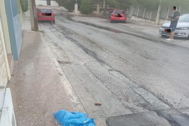 Διαρροή τεράστιου όγκου νερού στο Δάσος - Θα αναλάβει κάποιος υπεύθυνος την αποκατάσταση της βλάβης; 15