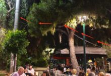 Έχετε προσέξει αυτό το καλώδιο στην Πλατεία του Δάσους; 29