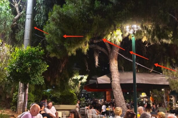 Έχετε προσέξει αυτό το καλώδιο στην Πλατεία του Δάσους; 43