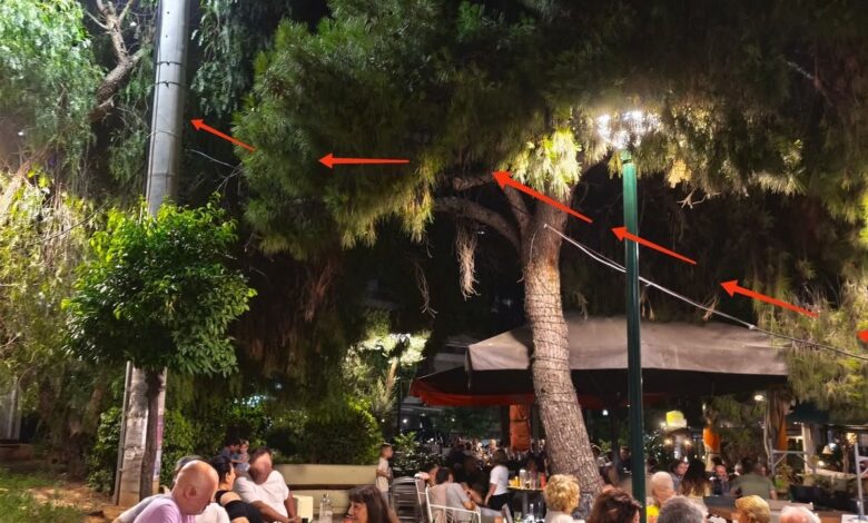 Έχετε προσέξει αυτό το καλώδιο στην Πλατεία του Δάσους; 2 Έχετε προσέξει αυτό το καλώδιο στην Πλατεία του Δάσους; 1