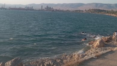 Σκέψεις για την απαγόρευση κολύμβησης στη θάλασσα του Σκαραμαγκά 3