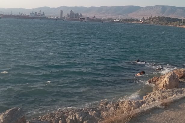 Σκέψεις για την απαγόρευση κολύμβησης στη θάλασσα του Σκαραμαγκά 27