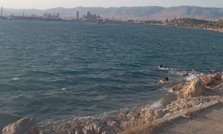 Σκέψεις για την απαγόρευση κολύμβησης στη θάλασσα του Σκαραμαγκά 2 Σκέψεις για την απαγόρευση κολύμβησης στη θάλασσα του Σκαραμαγκά 1