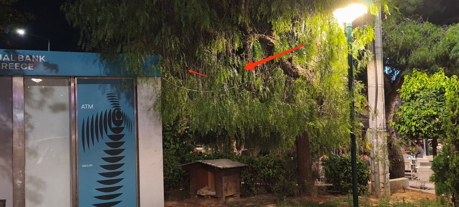 Έχετε προσέξει αυτό το καλώδιο στην Πλατεία του Δάσους; 10 Έχετε προσέξει αυτό το καλώδιο στην Πλατεία του Δάσους; 9