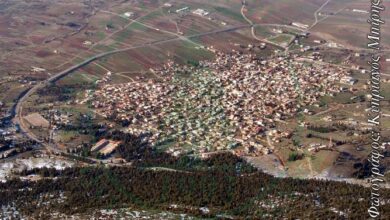Τραγέλαφος στις Ερυθρές: Μοναστήρι φέρεται να παραχώρησε έκταση του... Δήμου για γιγάντια επένδυση φωτοβολταϊκών 5