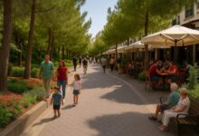 Πευκόδρομος Καραϊσκάκη: Πώς θα αναγεννηθεί ο παρακμασμένος ημι-ιδιωτικός διάδρομος 239