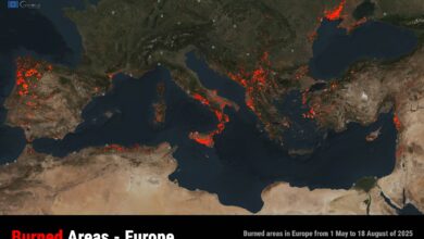 Τα αίτια των πυρκαγιών και οι θεωρίες συνωμοσίας και φανατισμού 7