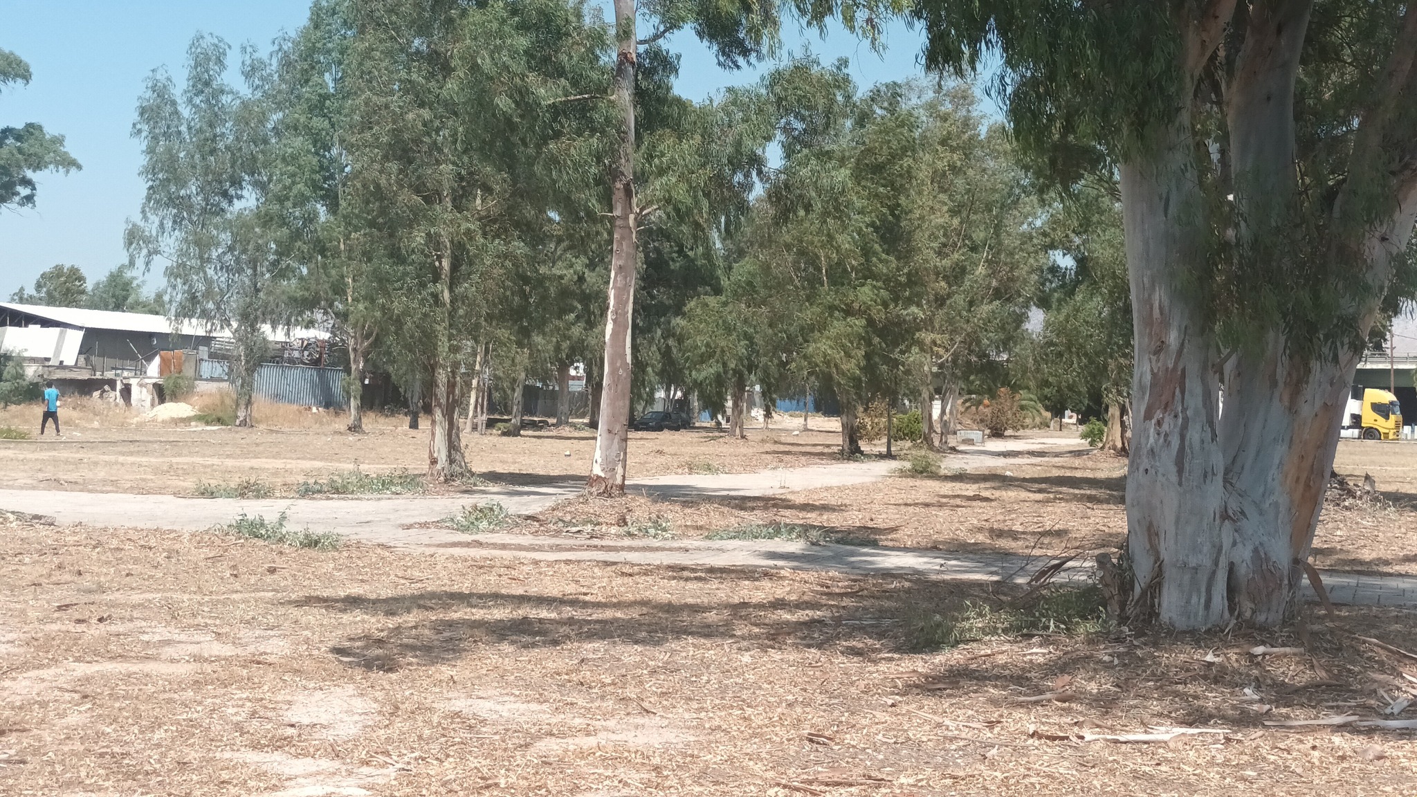Βόλτα στην Παραλία Ασπροπύργου μια ηλιόλουστη μέρα 6 Βόλτα στην Παραλία Ασπροπύργου μια ηλιόλουστη μέρα 5