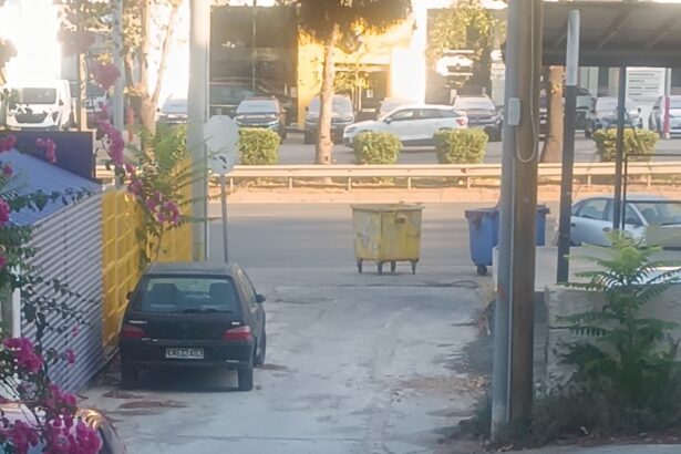 "Προσπαθούμε να φτάσουμε σπίτι μας χωρίς να μας πάρει αμπάριζα καμιά νταλίκα στη Λεωφόρο Αθηνών" 39